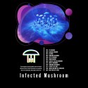 Infected Mushroom 1
