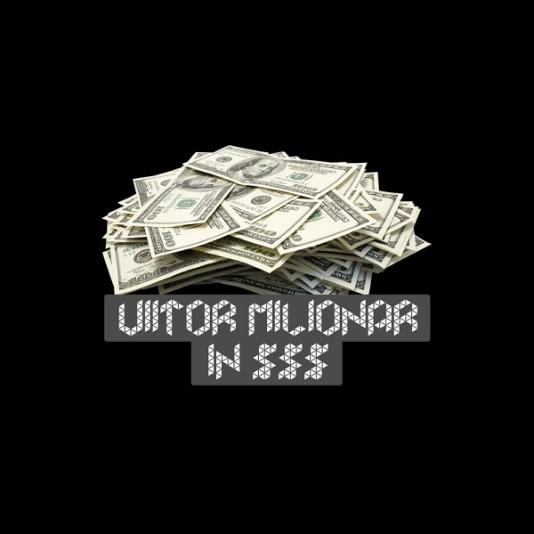 Viitor milionar