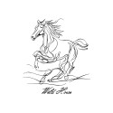 Wild horse 3